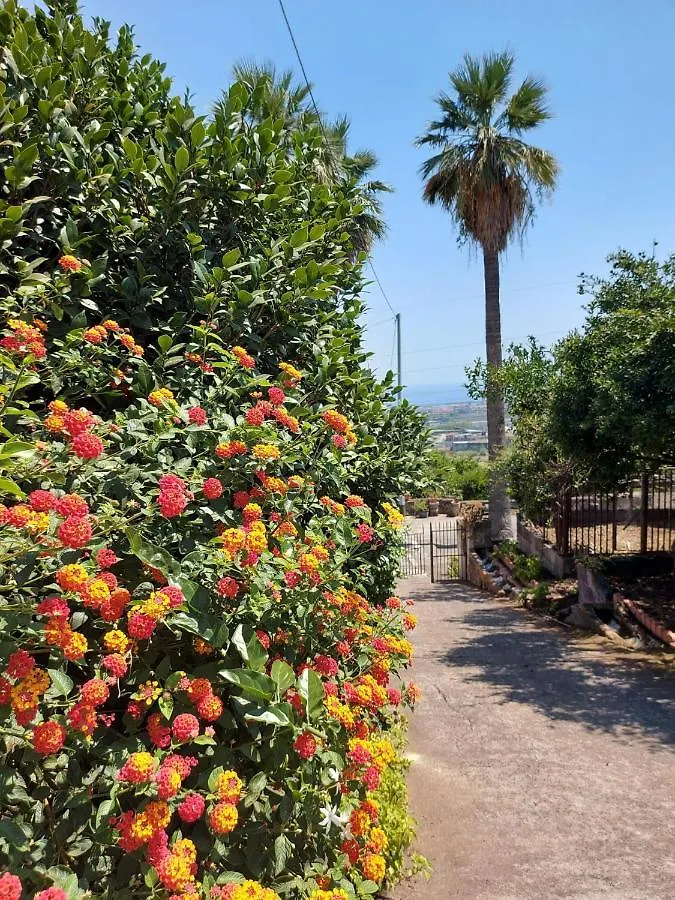 Casa Delle Palme Giarre Sicilia A 3 Km Dal Mareヴィラ イタリア