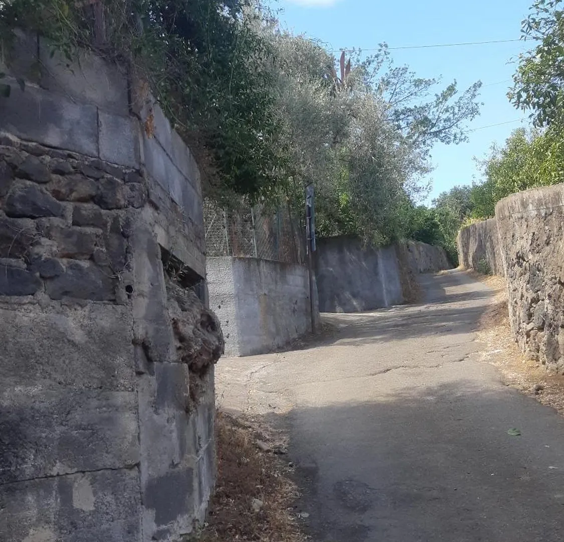 Casa Delle Palme Giarre Sicilia A 3 Km Dal Mare Villa İtalya