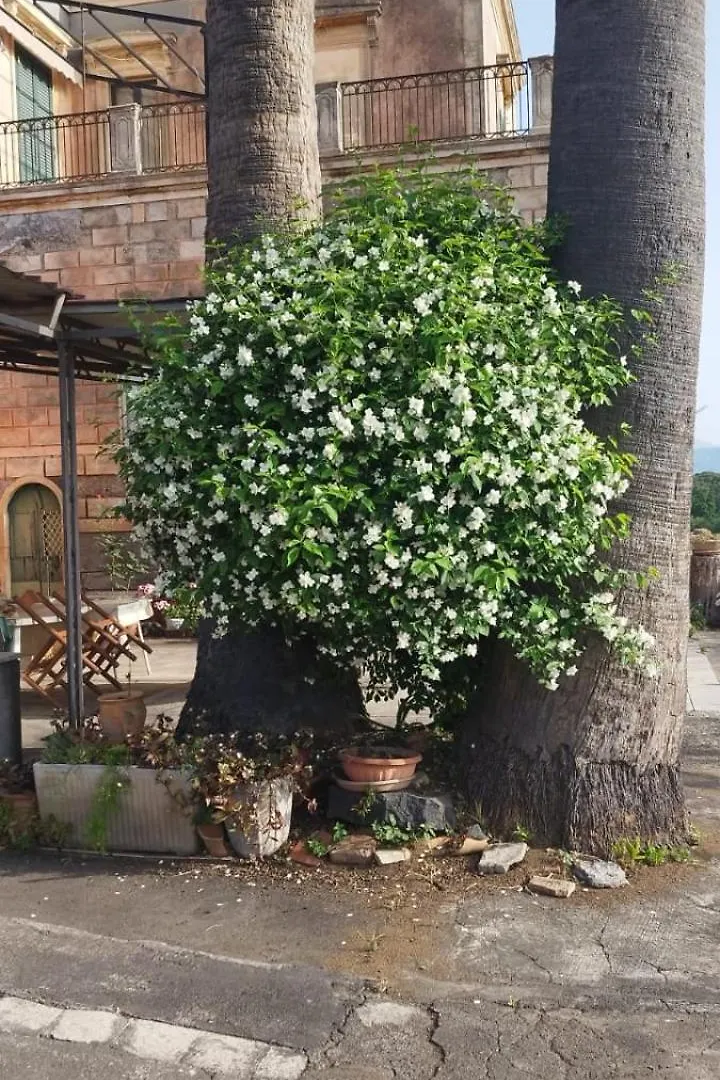 Casa Delle Palme Giarre Sicilia A 3 Km Dal Mareヴィラ